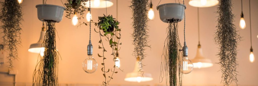 dekorativna rasveta saveti