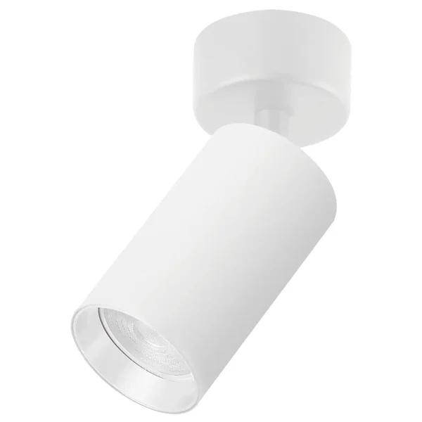 Plafonska lampa AFS121 1C WH SAGA LIGHT